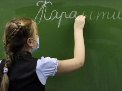 В Новочеркасске школьные классы и группы в детских садах закрылись на карантин