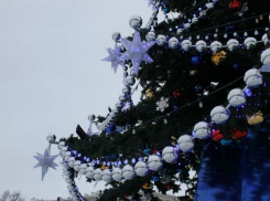 27 декабря в Новочеркасске откроют елку и ограничат движение транспорта
