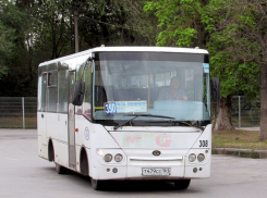Новочеркасских льготников лишили права бесплатно ездить на внутриобластных, пригородных и междугородних автобусах