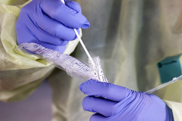 Новочеркасцы смогут сдать платный тест на коронавирус