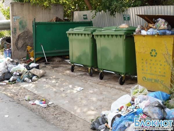 В Ростовской области может появиться соцнорма на мусор