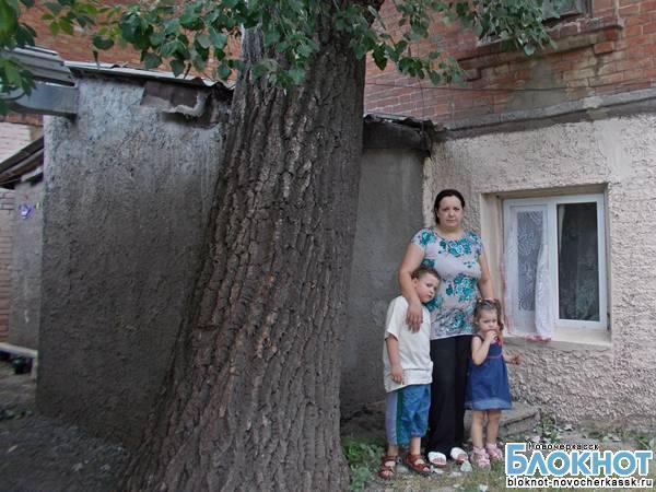 В Новочеркасске вековой тополь корнями поднимает фундамент жилого дома